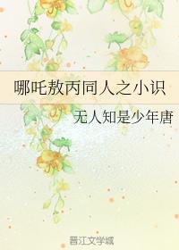 哪吒敖丙同人之小识