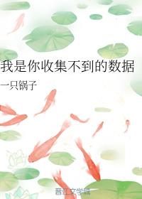 [综漫]我是你收集不到的数据