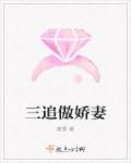 三追傲娇妻